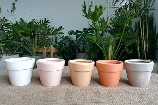 Choosing a suitable pot